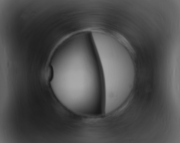 X0000096981284200802080852