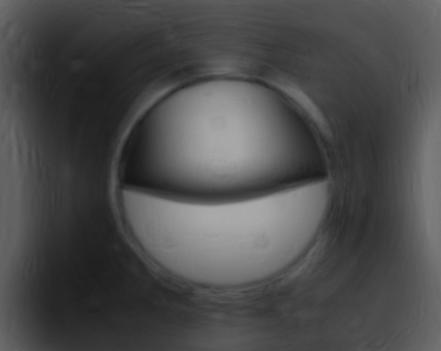 X0000096981285200802080852