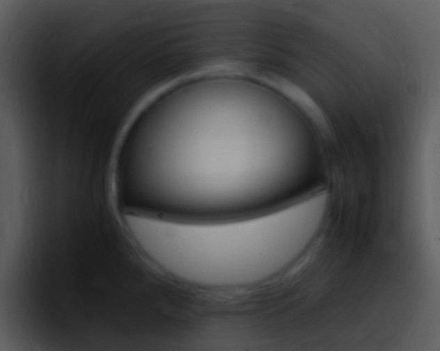 X0000096981288200802080852