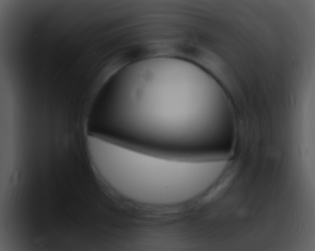 X0000096981289200802080852
