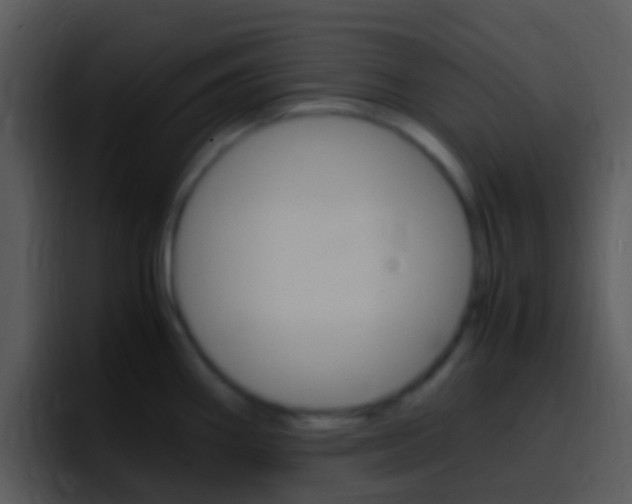 X0000096981290200802080852