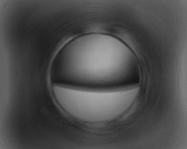 X0000096981293200802080852