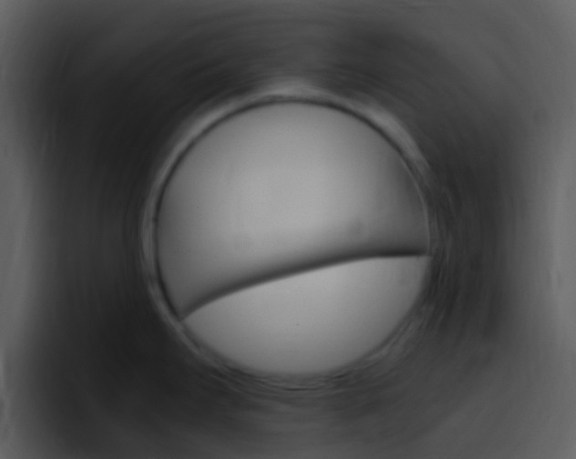 X0000096981295200802080852