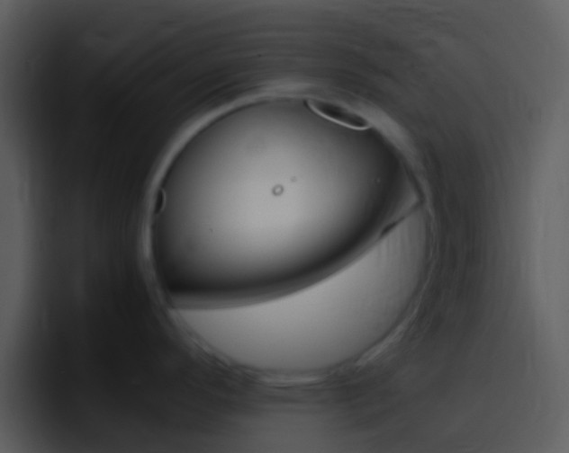X0000096981296200802080852
