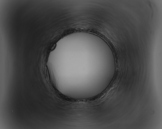 X0000096981297200802080851