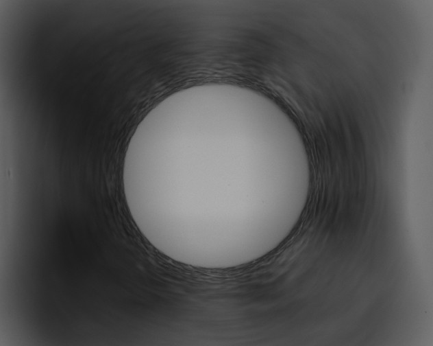 X0000096981298200802080851