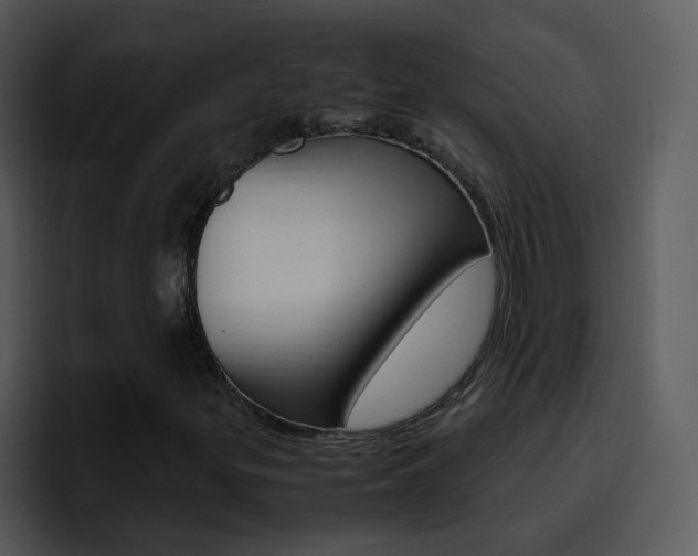 X0000096981299200802080851