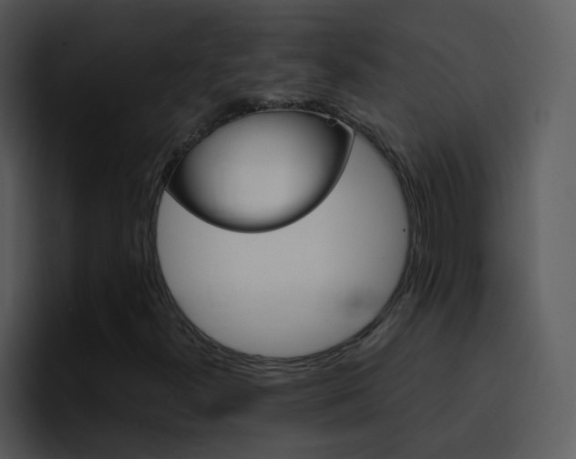 X0000096981300200802080851