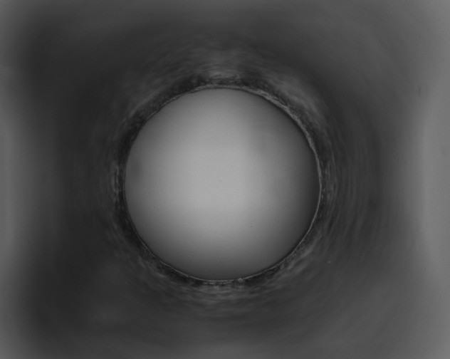 X0000096981301200802080851
