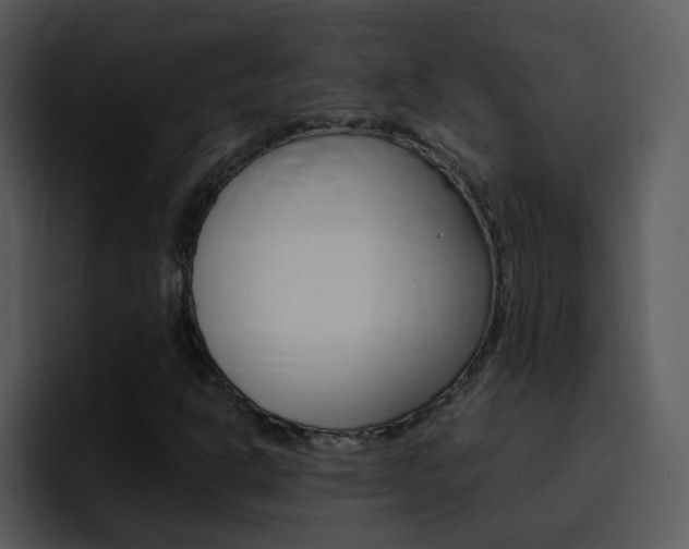 X0000096981302200802080851