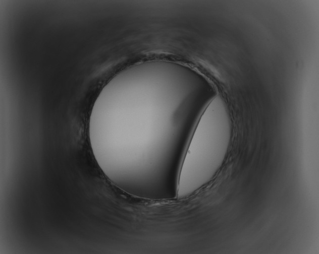 X0000096981303200802080851