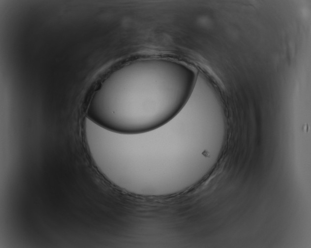 X0000096981304200802080851