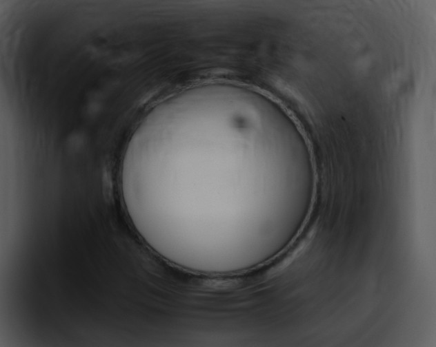 X0000096981305200802080851
