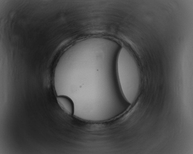 X0000096981306200802080851
