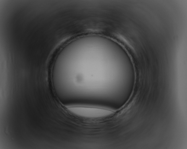 X0000096981307200802080851