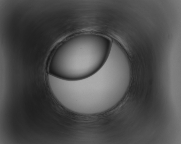 X0000096981308200802080851