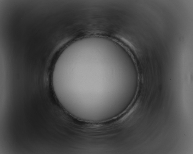 X0000096981309200802080851