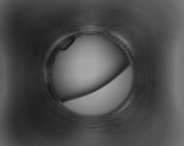 X0000096981310200802080851