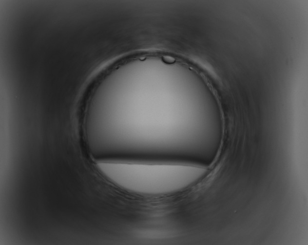 X0000096981311200802080851
