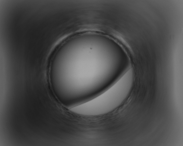 X0000096981312200802080851