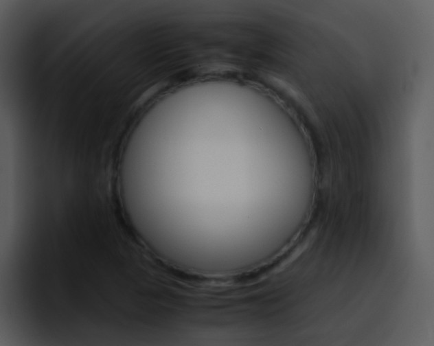 X0000096981313200802080851