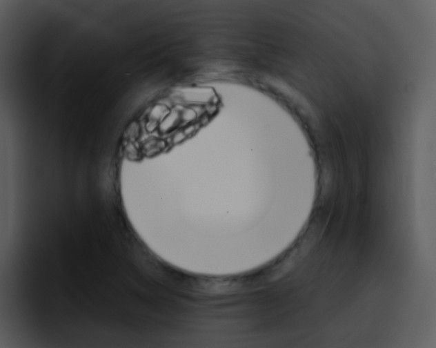 X0000096981314200802080851