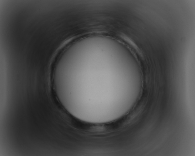 X0000096981315200802080851
