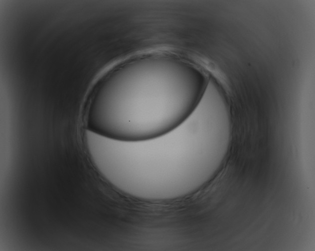 X0000096981316200802080851
