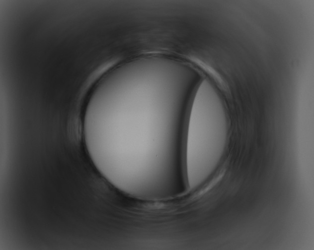 X0000096981317200802080851