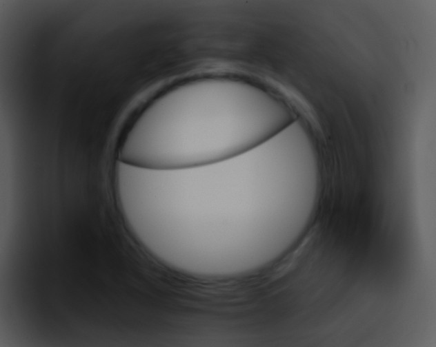 X0000096981318200802080851