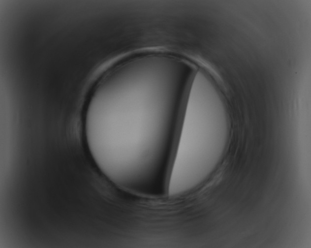 X0000096981319200802080851