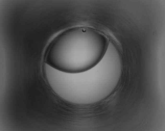 X0000096981320200802080851