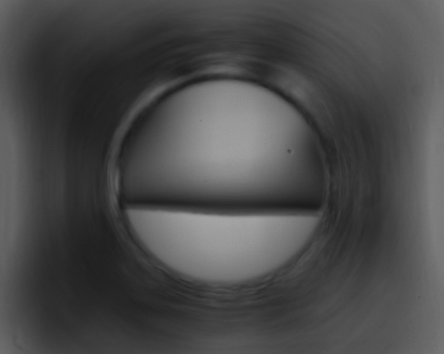 X0000096981323200802080851