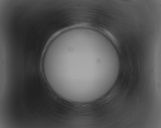X0000096981324200802080851