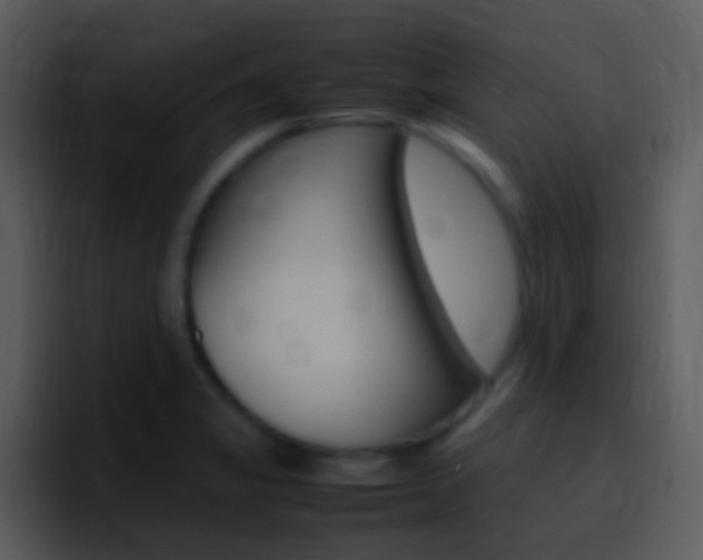 X0000096981325200802080851