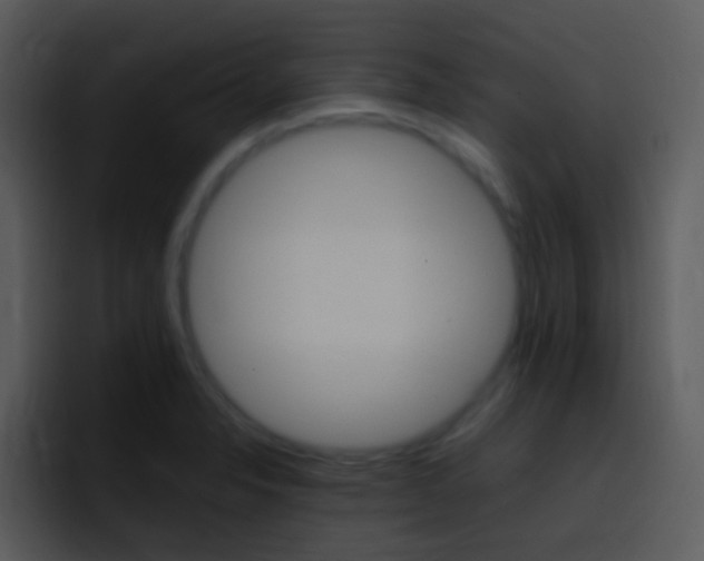 X0000096981326200802080851