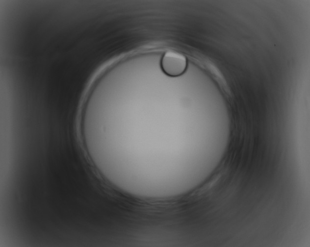 X0000096981328200802080851