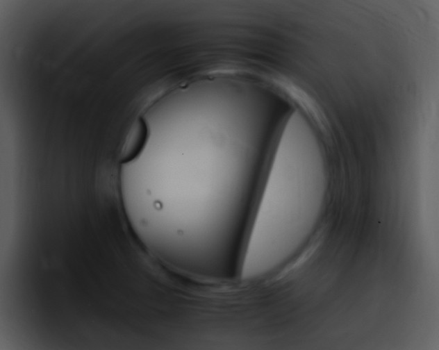 X0000096981329200802080851