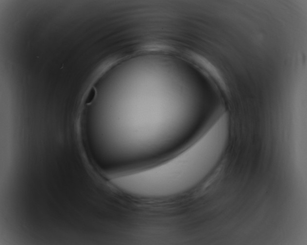 X0000096981330200802080851