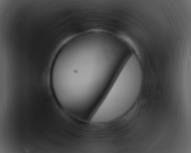 X0000096981331200802080851