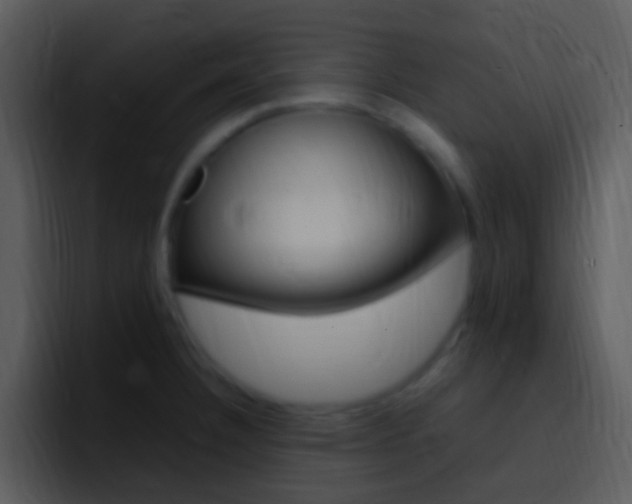 X0000096981332200802080851