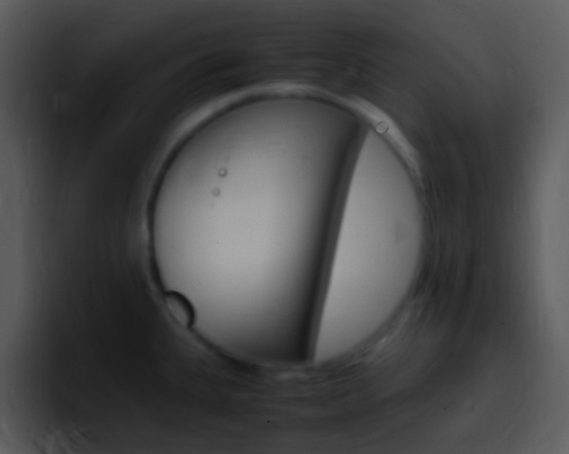 X0000096981335200802080852