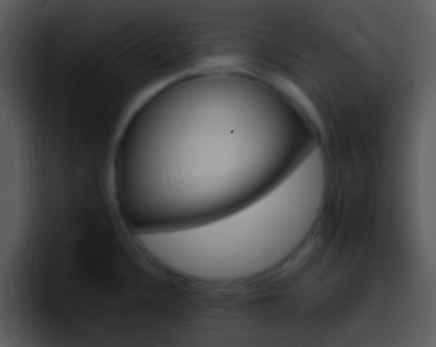 X0000096981336200802080852