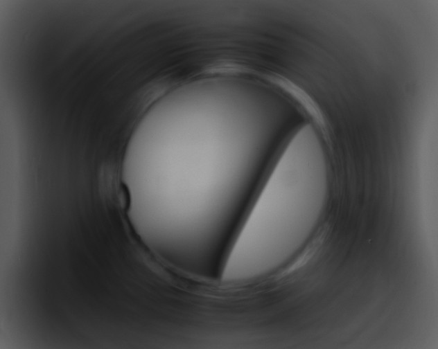 X0000096981337200802080852