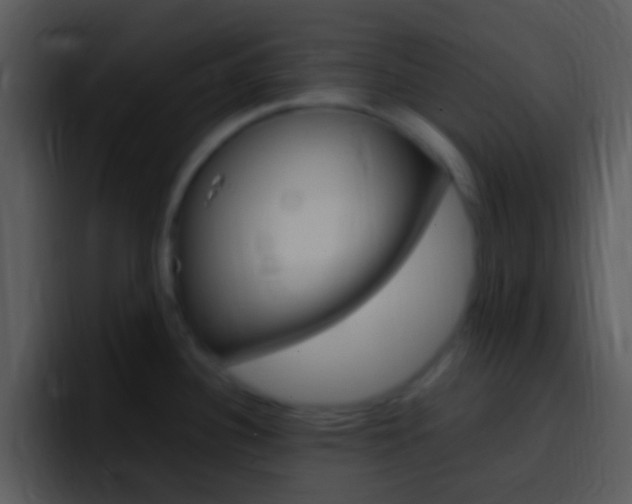 X0000096981340200802080852
