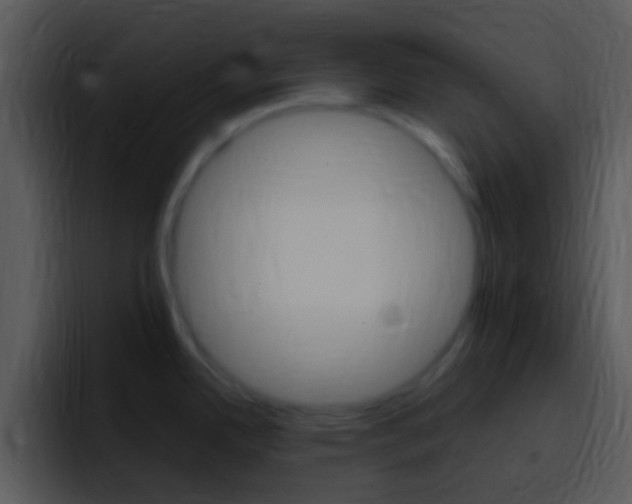 X0000096981342200802080852