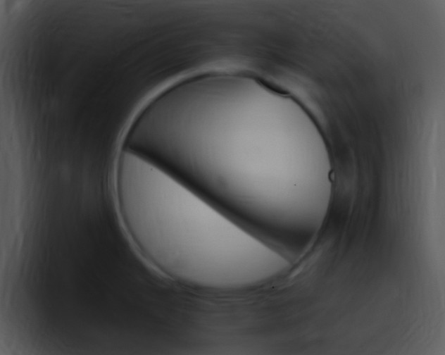 X0000096981343200802080852