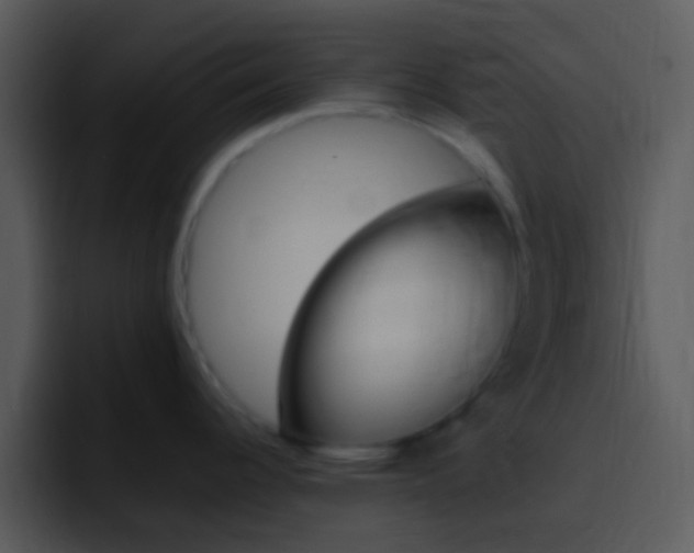 X0000096981344200802080852