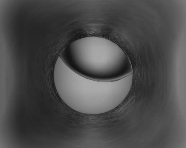 X0000096981345200802080851
