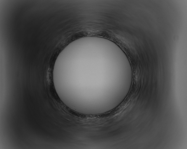 X0000096981346200802080851